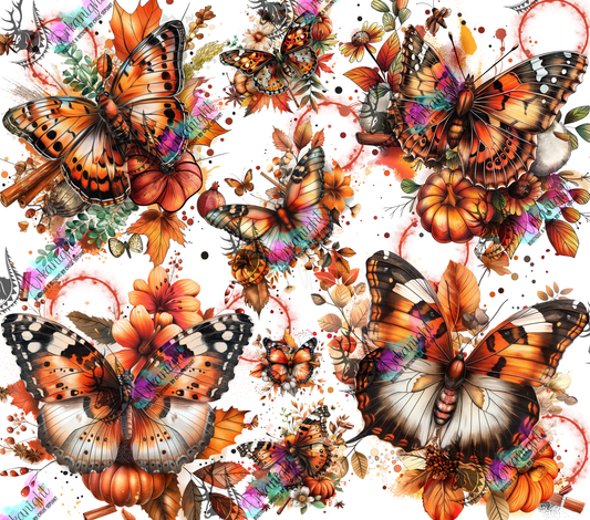 Impression - Autumn 2024 - Autumn Butterfly