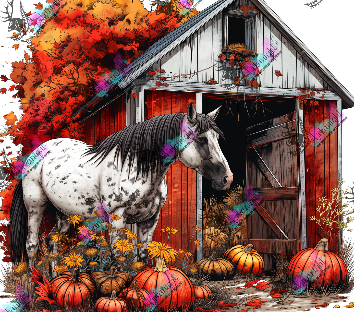 Numérique - Autumn 2024 - Apaloosa Red Barn