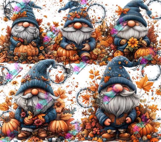 Impression - Autumn 2024 - Blue Gnome