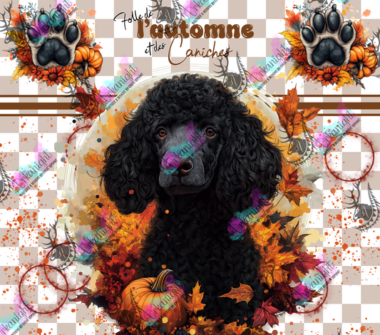 Impression - Autumn 2024 - Poodle - Black