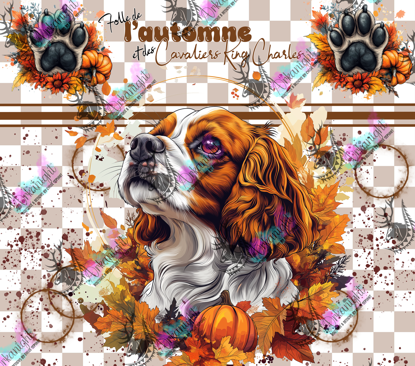 Numérique - Autumn 2024 - Cavalier King Charle