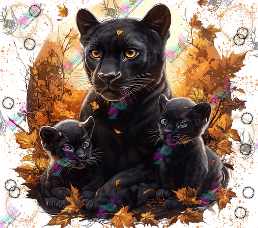 Impression - Autumn 2024 - Collection Autumn at the Zoo - Black Panthers