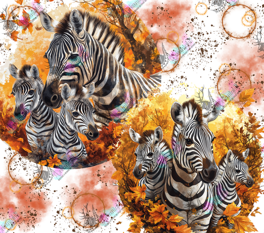 Impression - Autumn 2024 - Collection Autumn at the Zoo - Zebra