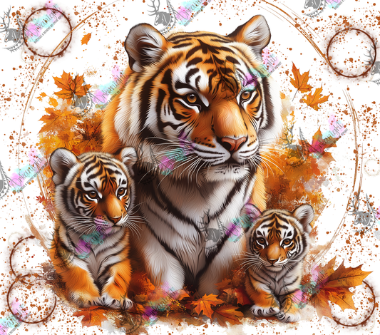 Impression - Autumn 2024 - Collection Autumn at the Zoo - Tiger