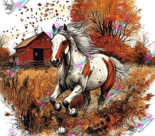 Impression - Autumn 2024 - Collection Autumn at the Ranch - Paint Horse - 02