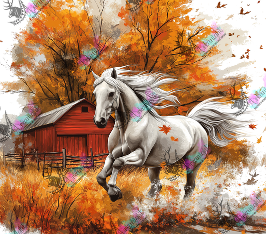 Impression - Autumn 2024 - Collection Autumn at the Ranch - White Horse