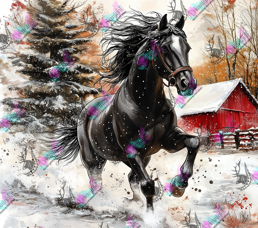 Impression - Collection Hiver 2024 - Winter Black Horse - 02