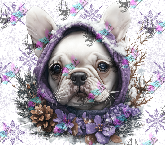 Impression - Collection Hiver 2024 - Artic White Frenchie