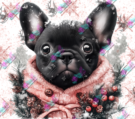 Impression - Collection Hiver 2024 - Artic Black Frenchie