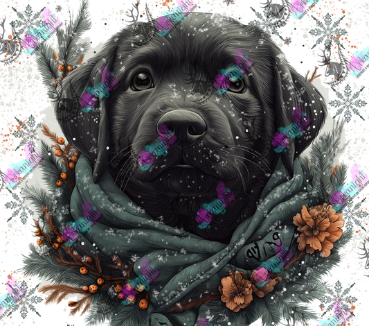 Impression - Collection Hiver 2024 - Artic Black Labrador