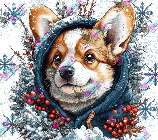 Impression - Collection Hiver 2024 - Artic Corgi