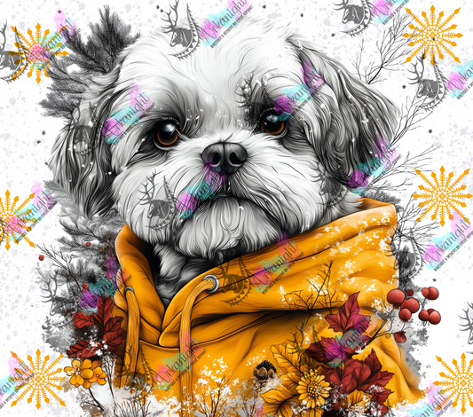 Impression - Collection Hiver 2024 - Artic Shih Tzu