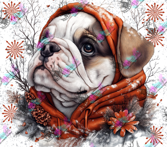 Impression - Collection Hiver 2024 - Artic English Bulldog