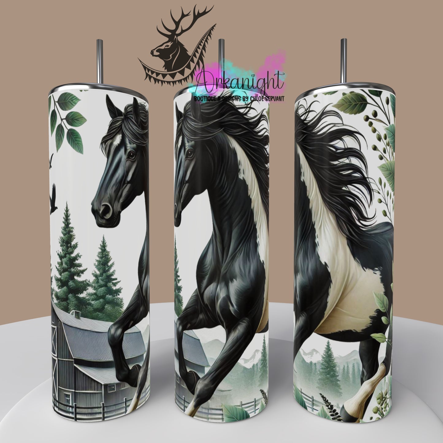 Numérique - Collection Western 2025 - 18