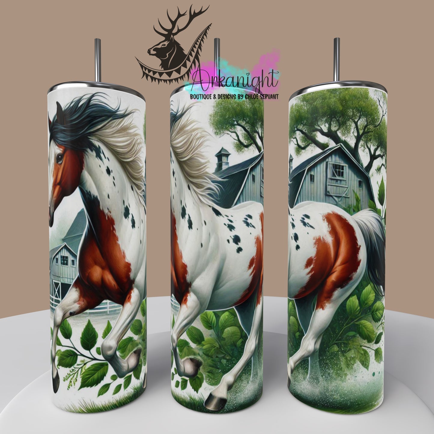 Numérique - Collection Western 2025 - 17