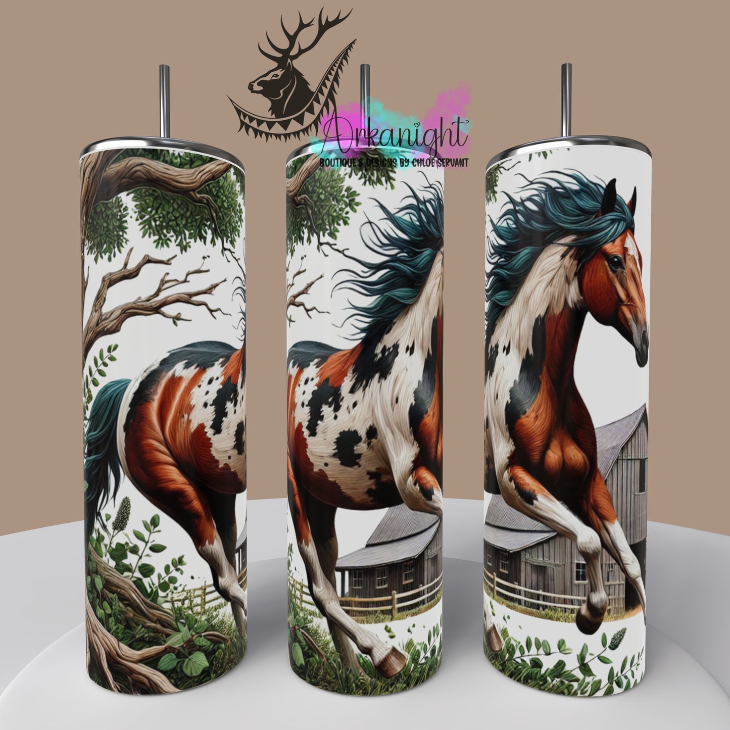 Numérique - Collection Western 2025 - 11