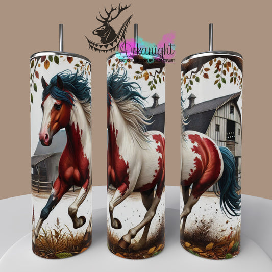 Numérique - Collection Western 2025 - 09