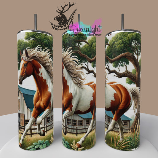 Numérique - Collection Western 2025 - 06