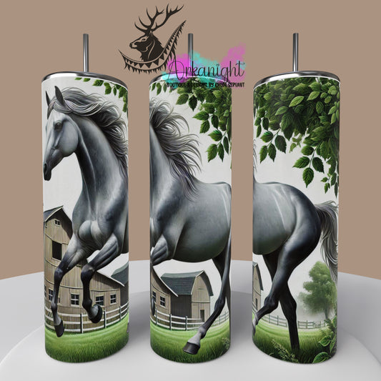 Numérique - Collection Western 2025 - 02