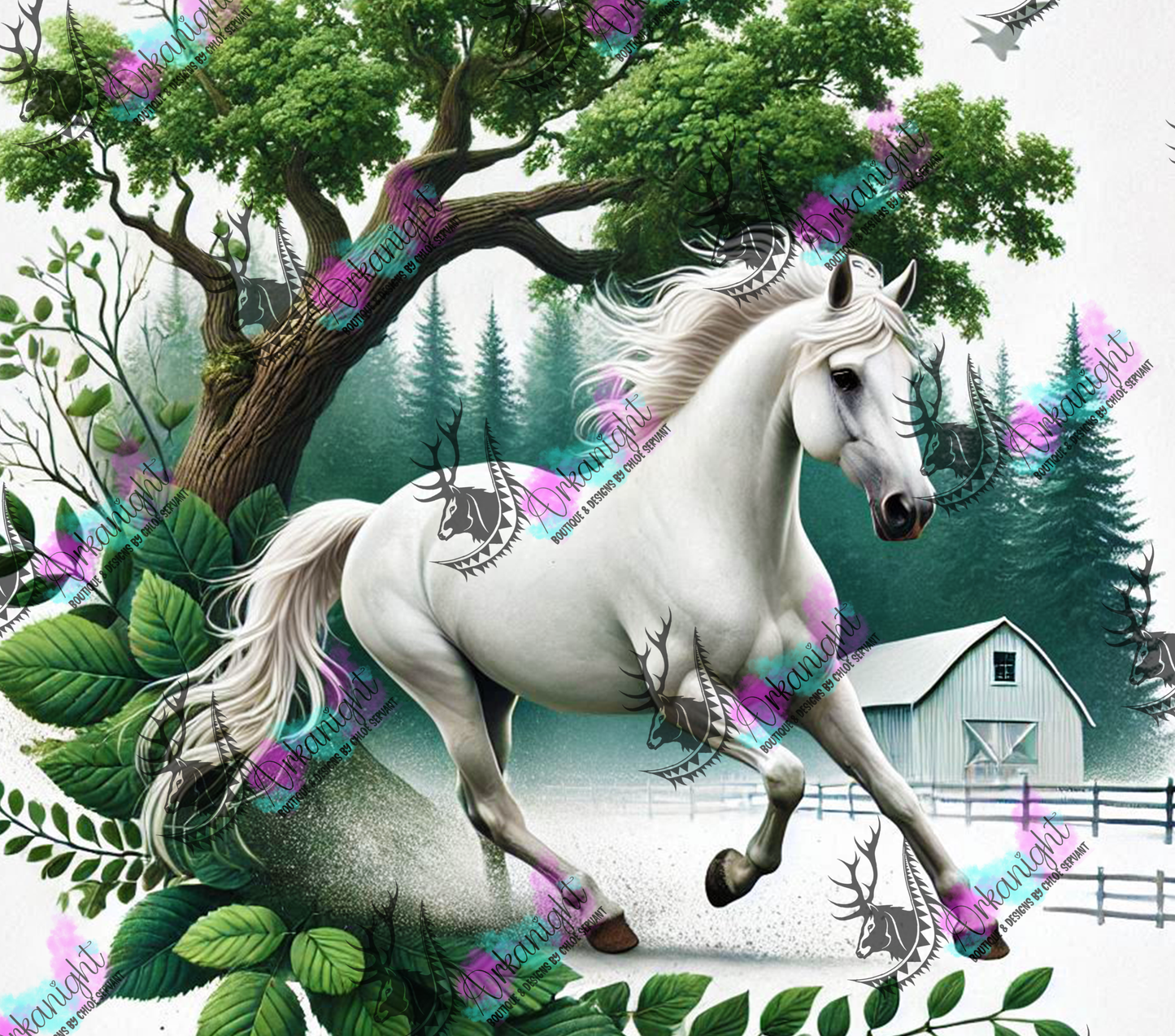 Numérique - Collection Western 2025 - 20