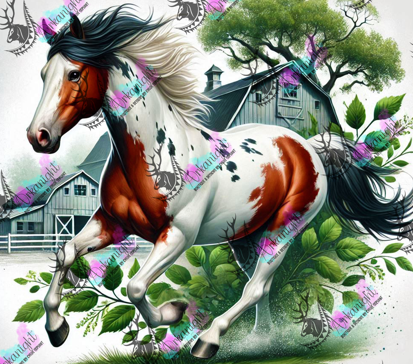 Numérique - Collection Western 2025 - 17