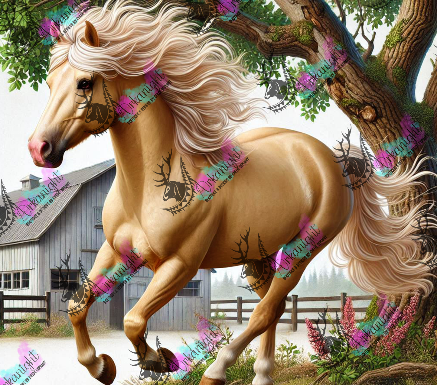 Numérique - Collection Western 2025 - 15