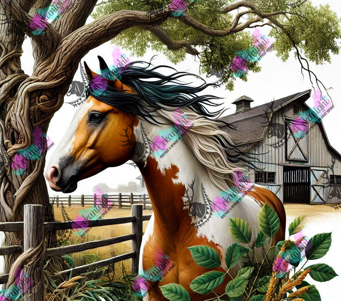 Numérique - Collection Western 2025 - 14