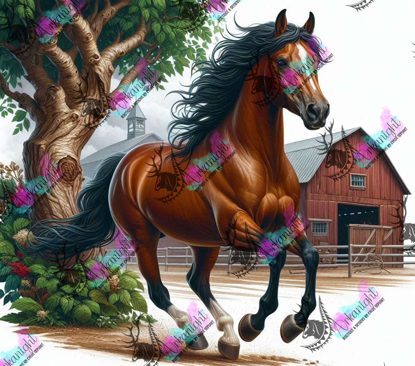 Numérique - Collection Western 2025 - 12