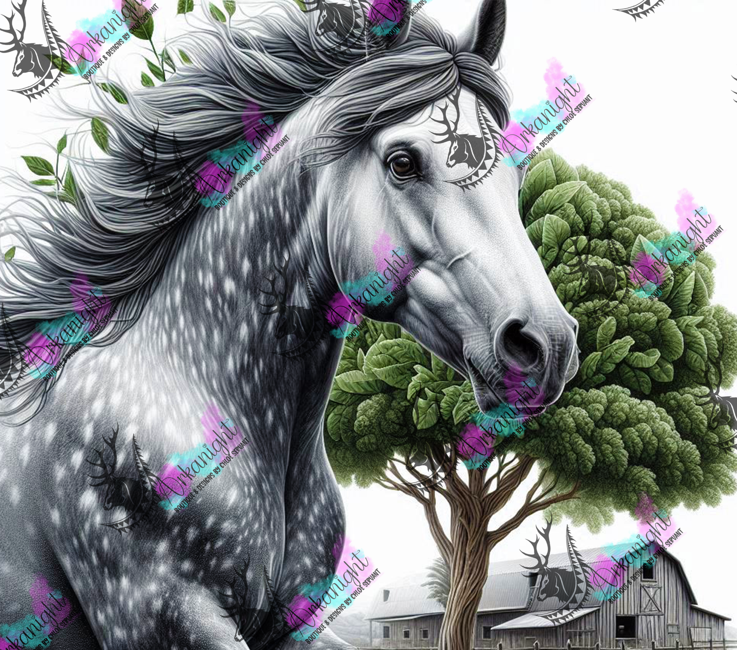 Numérique - Collection Western 2025 - 10