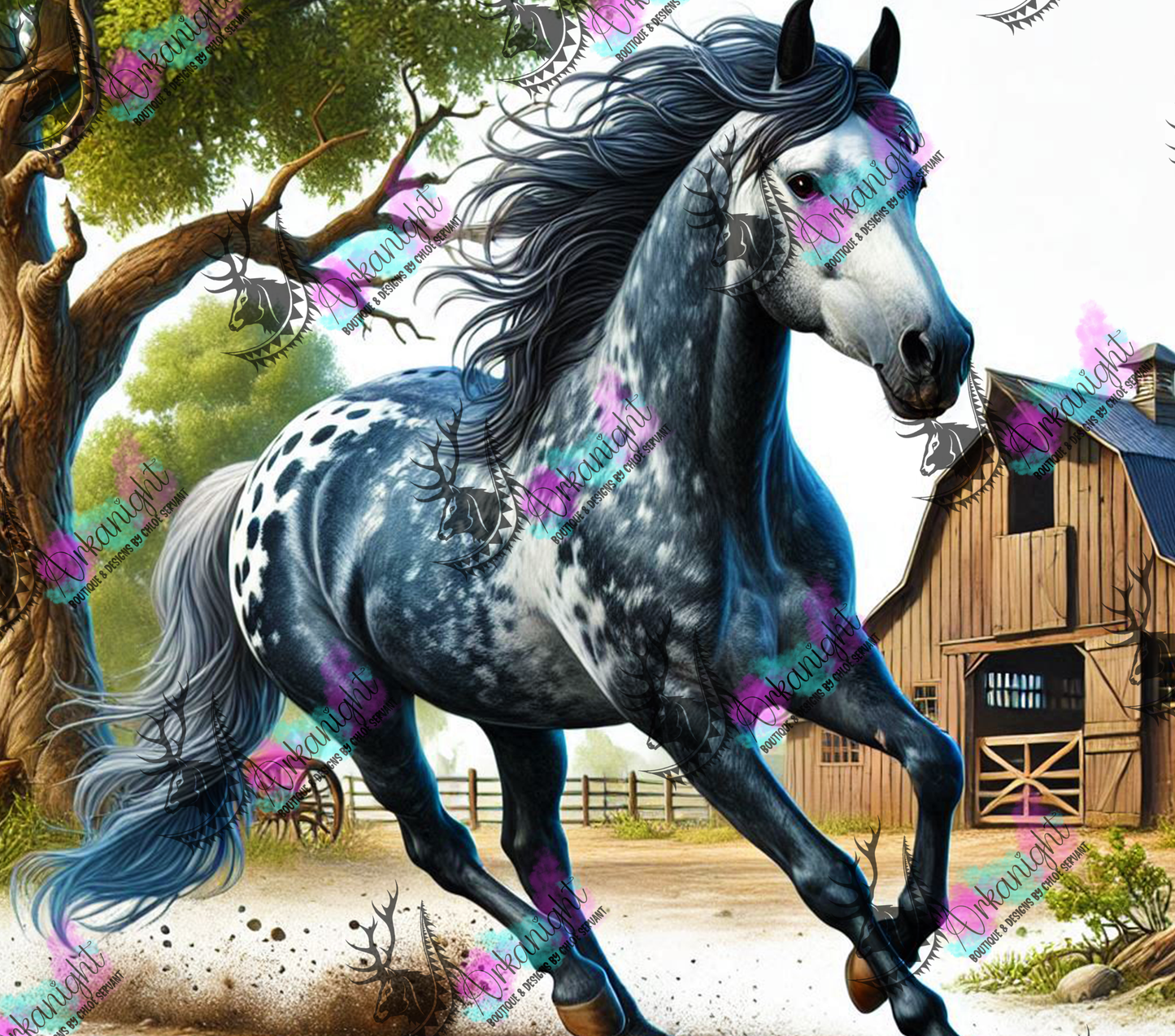 Numérique - Collection Western 2025 - 07