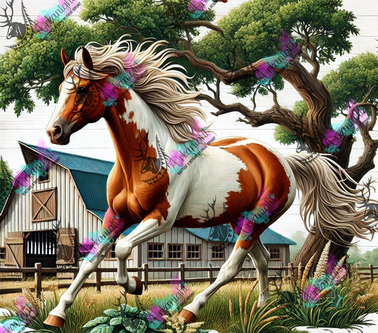 Numérique - Collection Western 2025 - 06