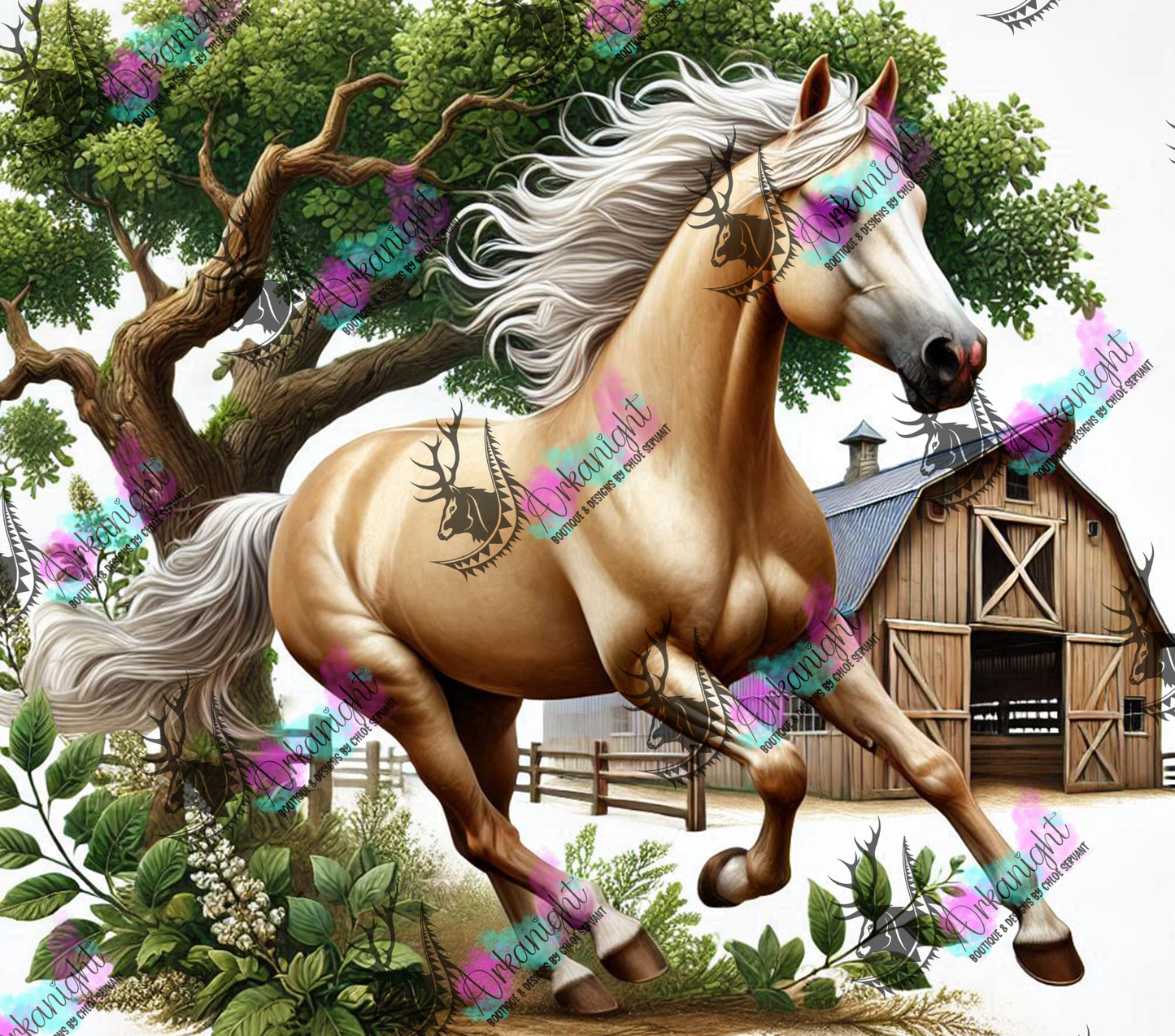 Numérique - Collection Western 2025 - 05