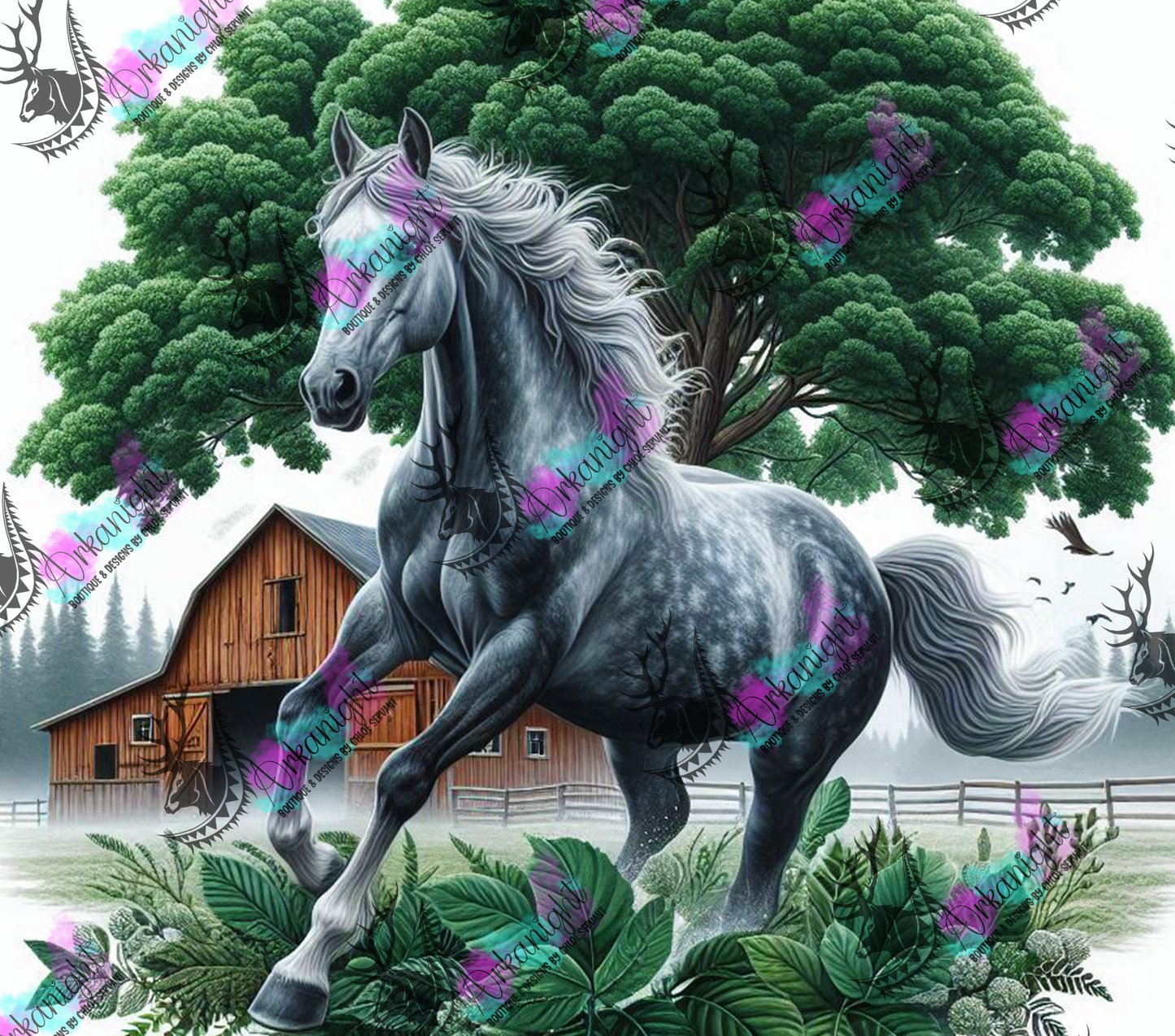 Numérique - Collection Western 2025 - 03