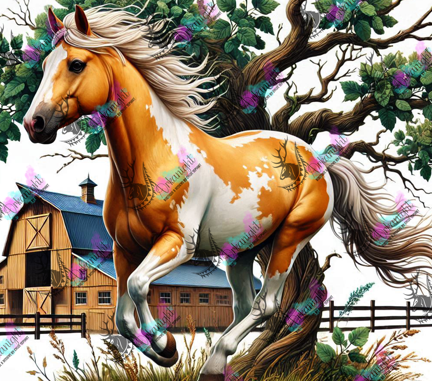 Numérique - Collection Western 2025 - 22