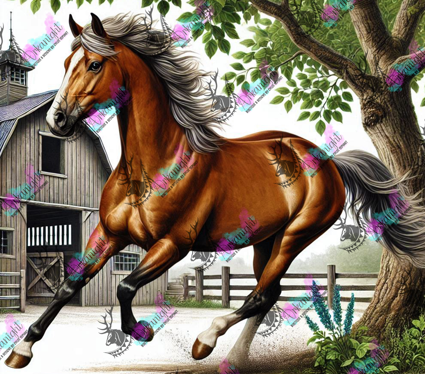 Numérique - Collection Western 2025 - 25