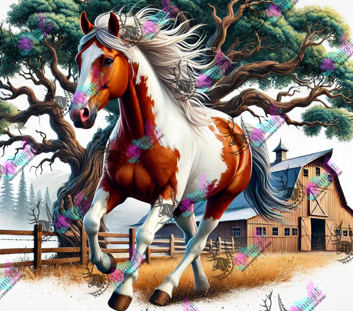 Numérique - Collection Western 2025 - 26