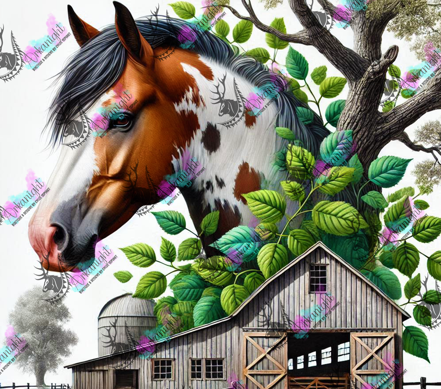 Numérique - Collection Western 2025 - 27