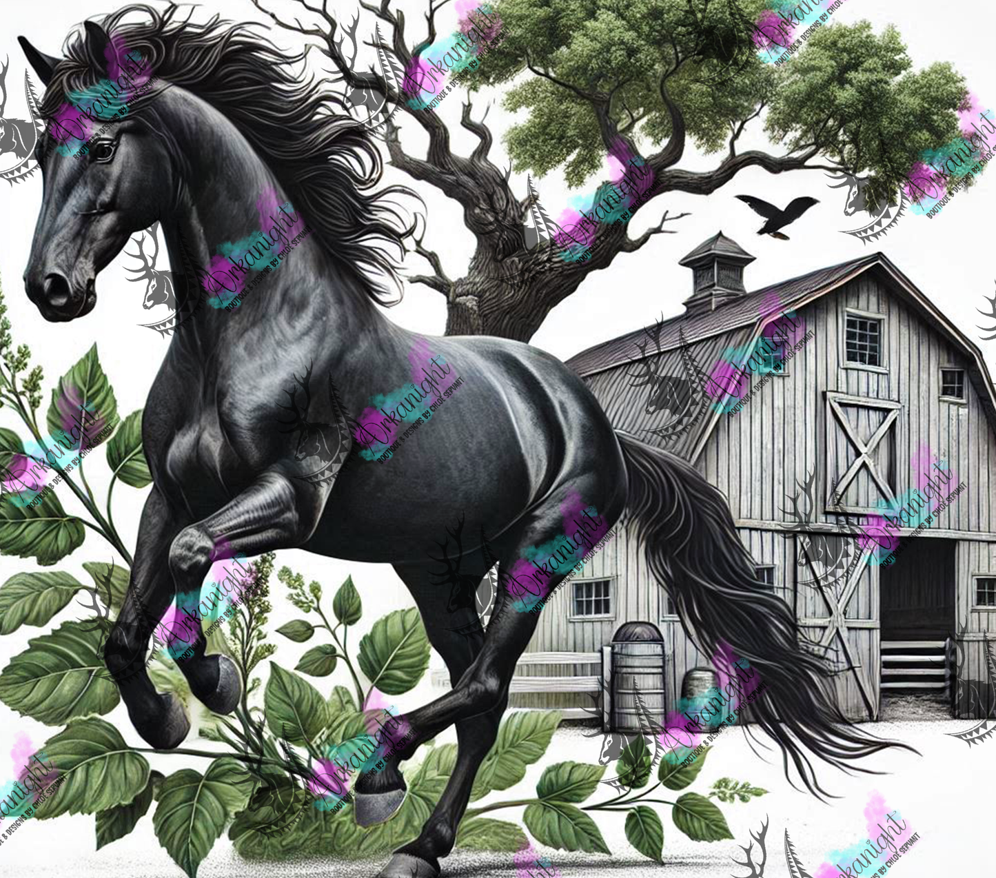 Numérique - Collection Western 2025 - 28