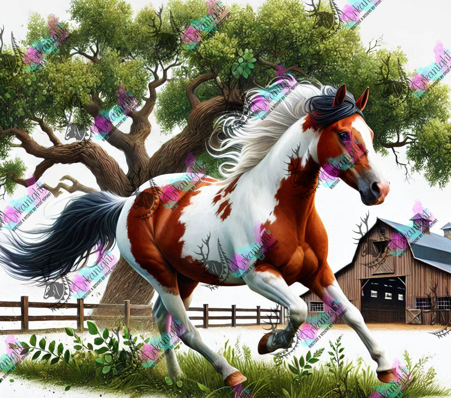 Numérique - Collection Western 2025 - 33