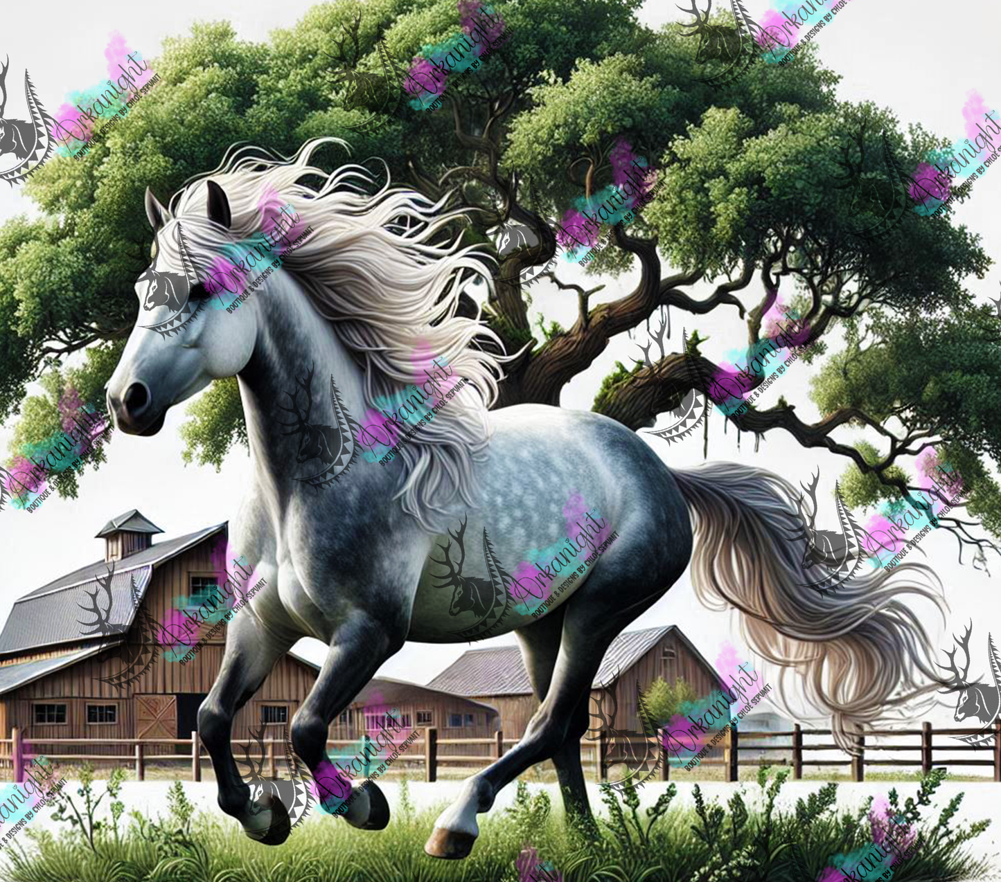 Numérique - Collection Western 2025 - 32