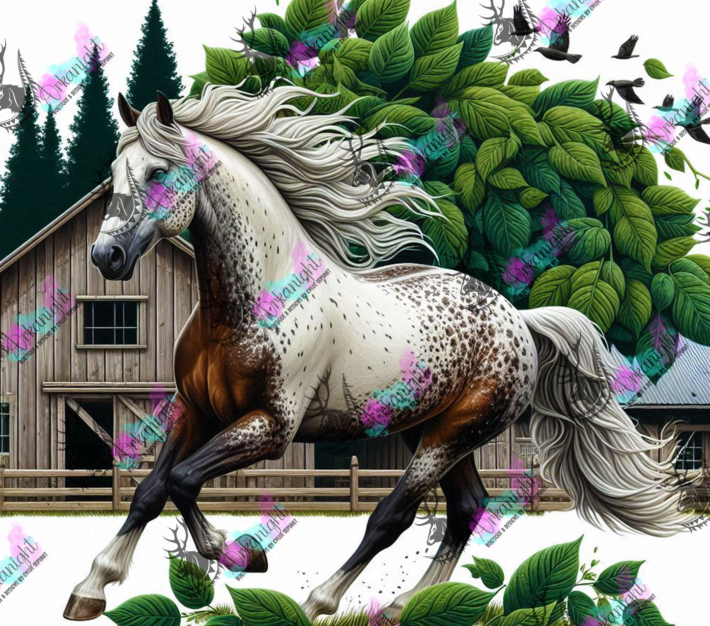 Numérique - Collection Western 2025 - 34