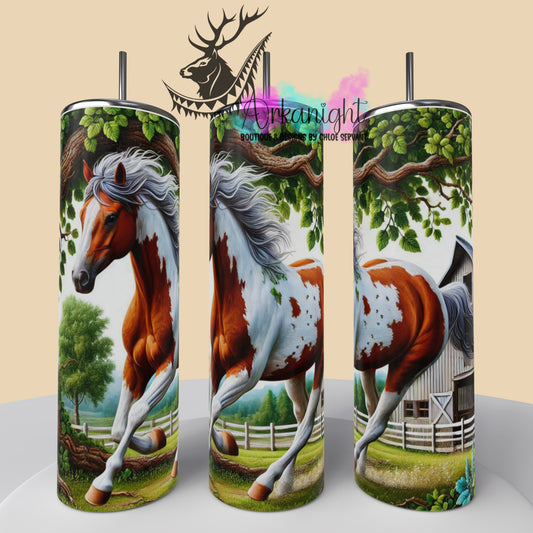 Numérique - Collection Western 2025 - 39