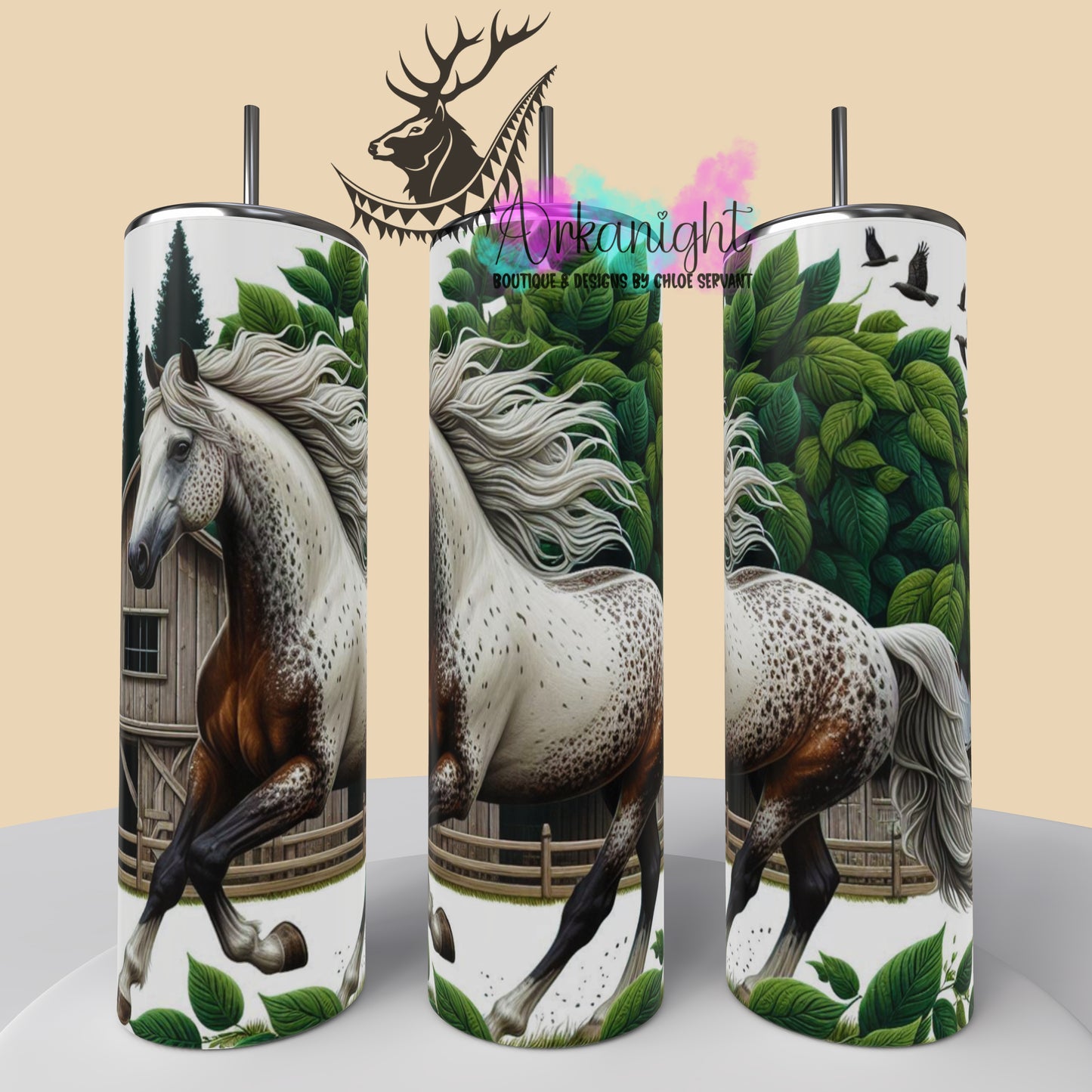 Numérique - Collection Western 2025 - 34