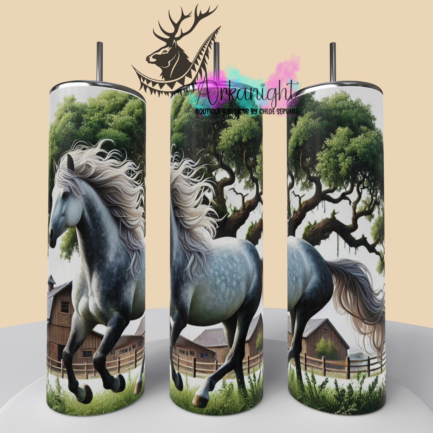 Numérique - Collection Western 2025 - 32