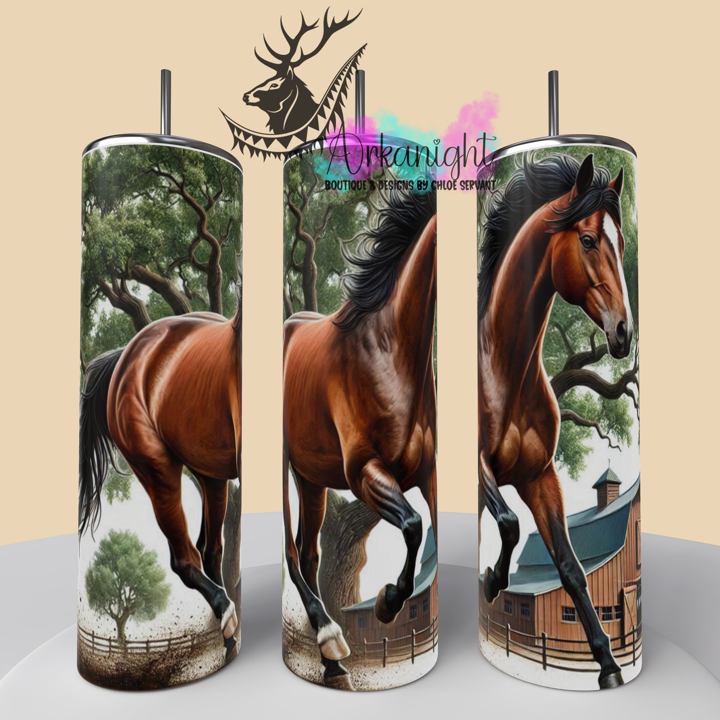 Numérique - Collection Western 2025 - 31