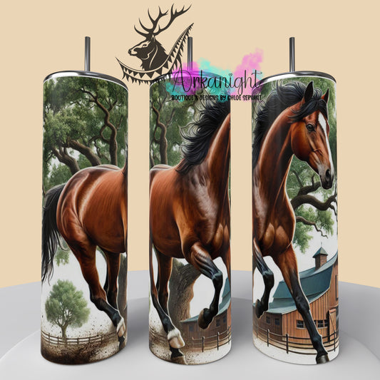 Numérique - Collection Western 2025 - 31