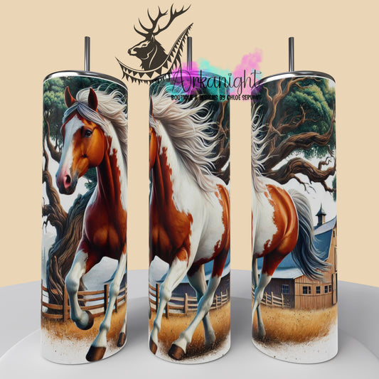 Numérique - Collection Western 2025 - 26