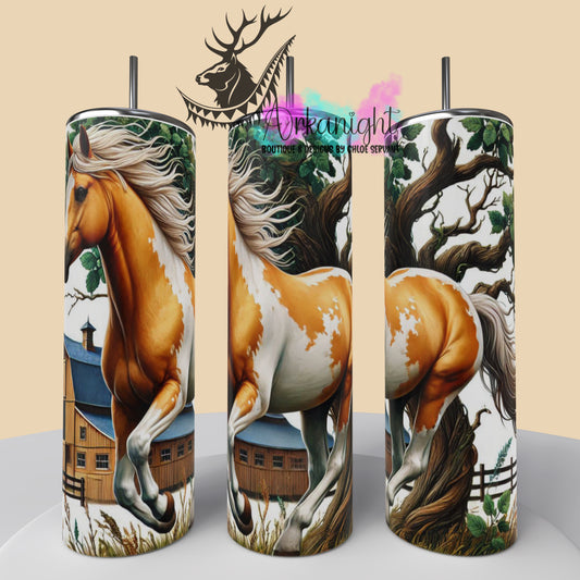 Numérique - Collection Western 2025 - 22