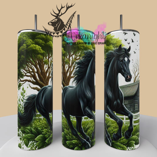 Numérique - Collection Western 2025 - 47