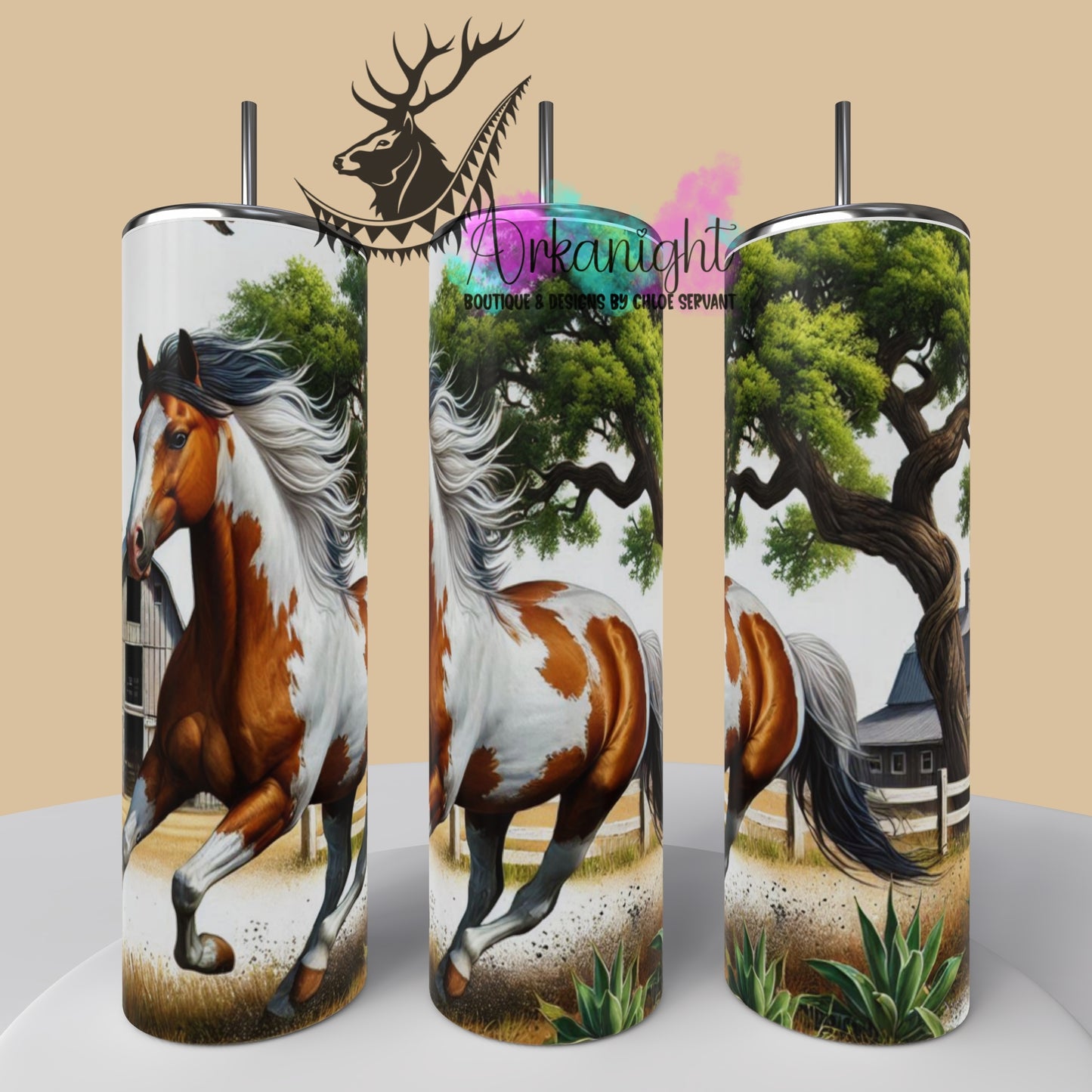 Numérique - Collection Western 2025 - 56